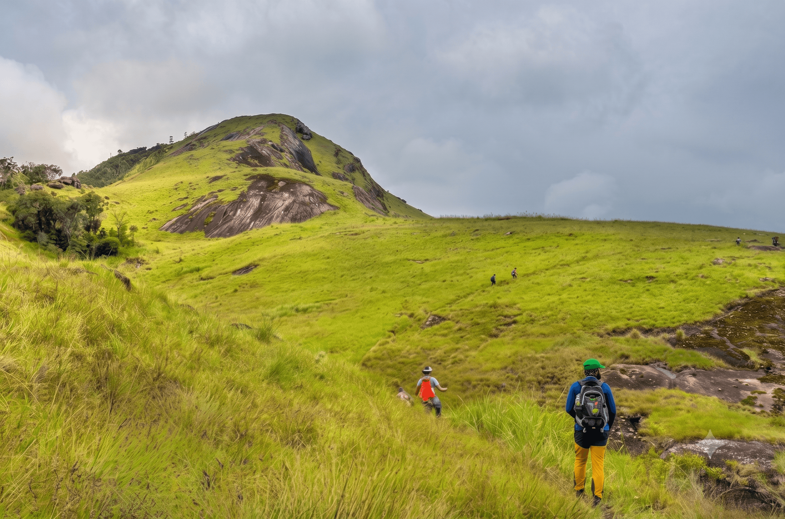 Camping experience at Haritha Kanda and Gartmore Waterfall