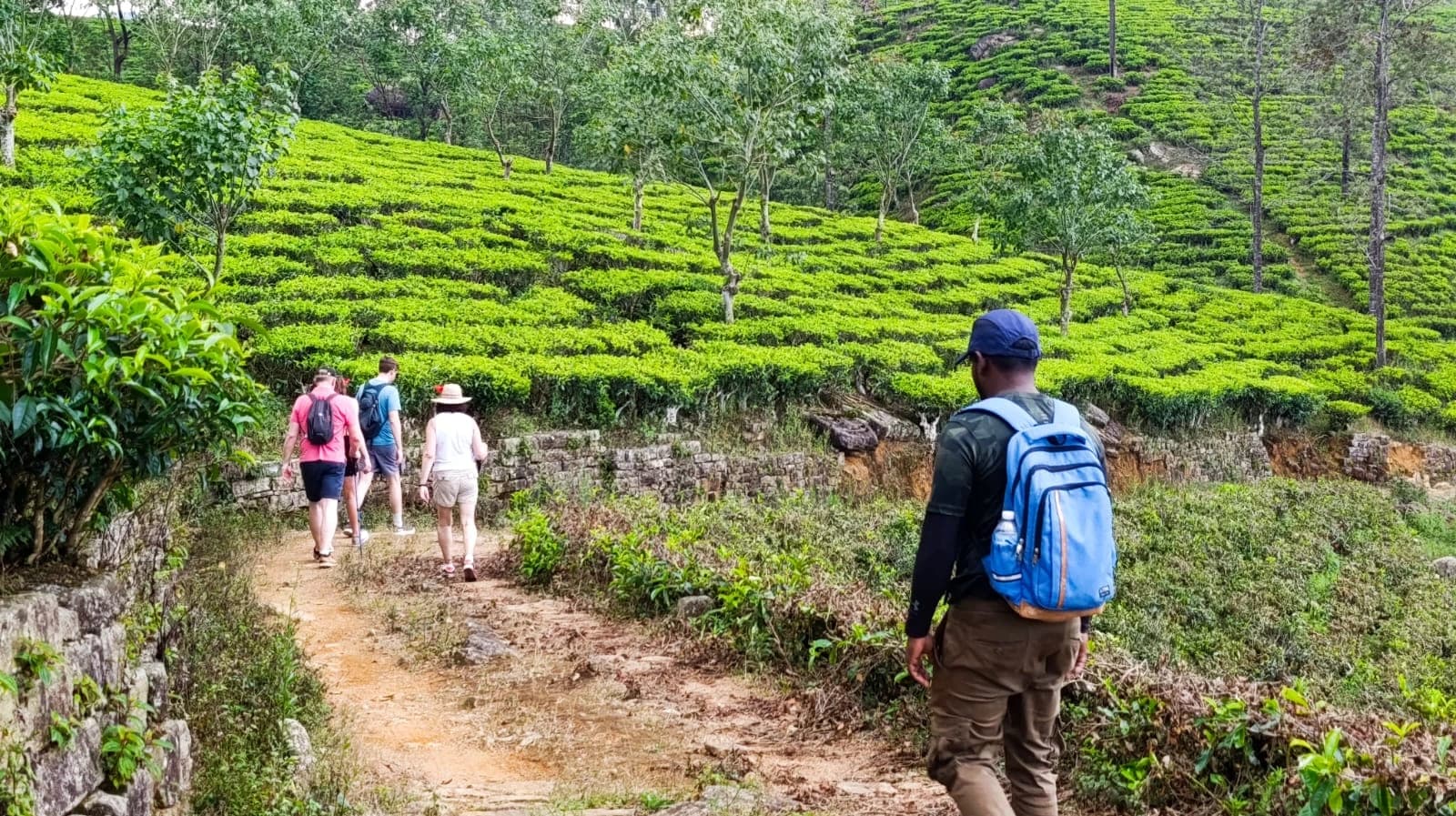 Hikers walking along the Pekoe Trail in Hatton