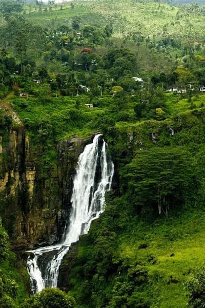 Devon Falls flowing through tea country
