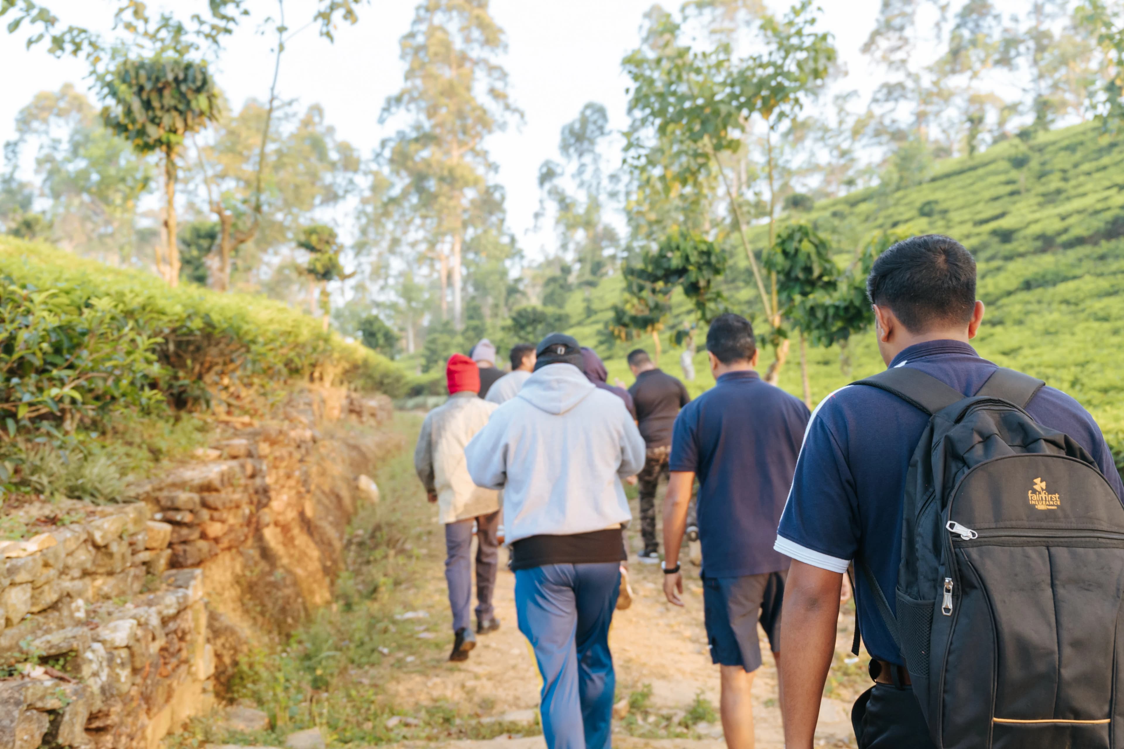 Group hiking through tea estate trails in Hatton