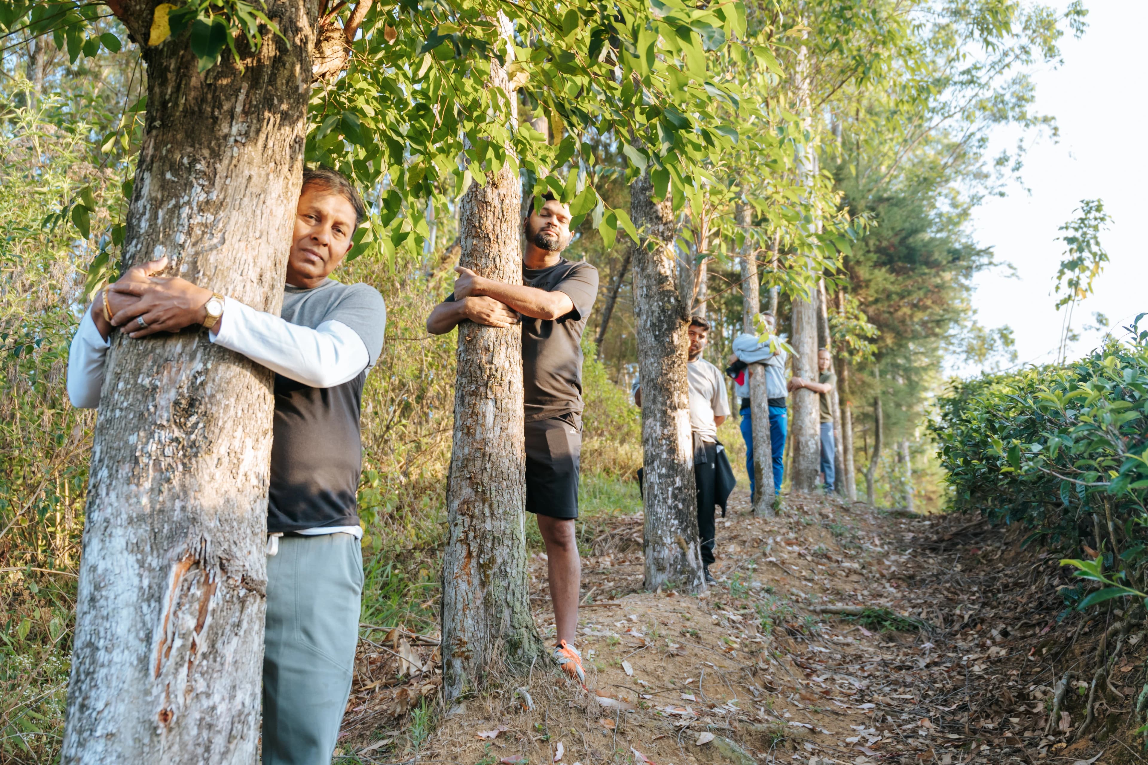 Hikers walking through tea-country trail in Hatton