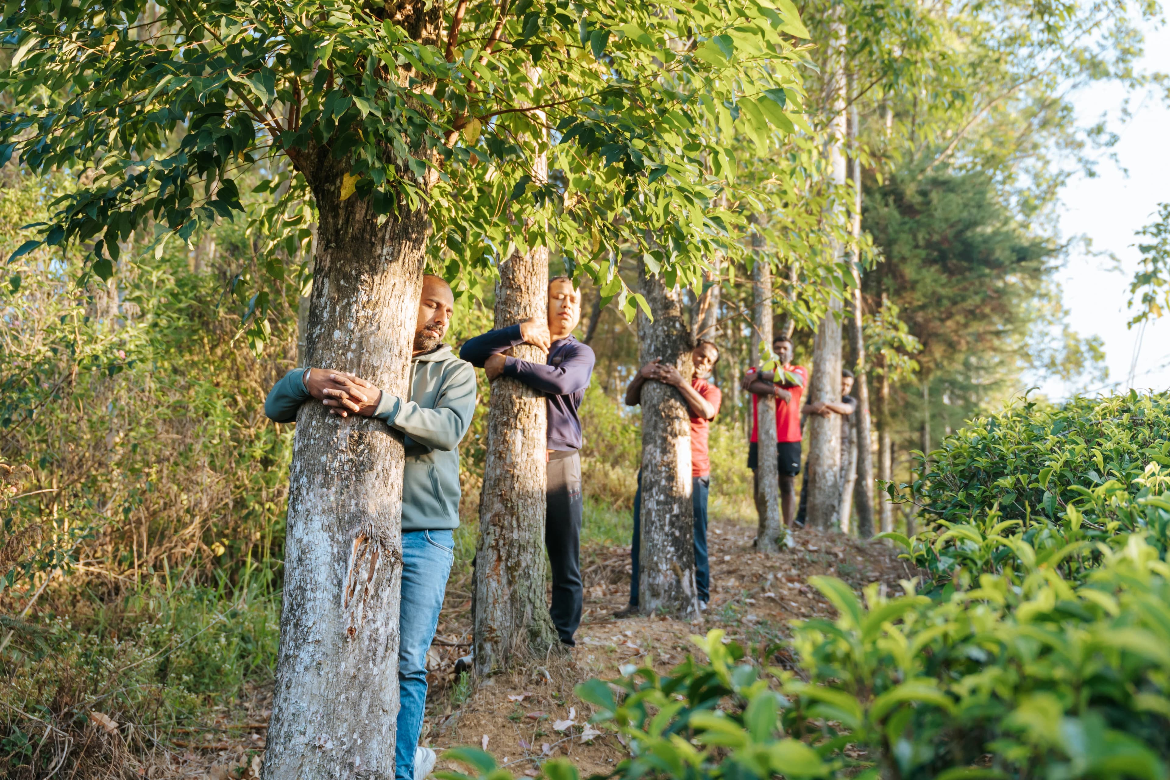 Tea-country walk with local guide in Hatton